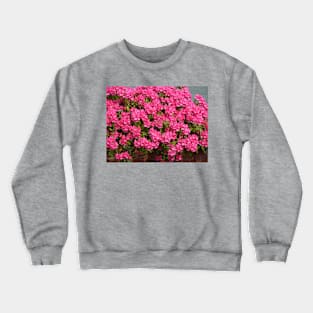 Pink bunches Crewneck Sweatshirt